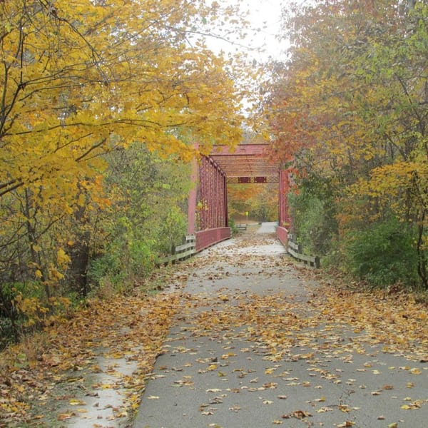 A path covered in autumn leaves leads to a red truss bridge surrounded by fall foliage.